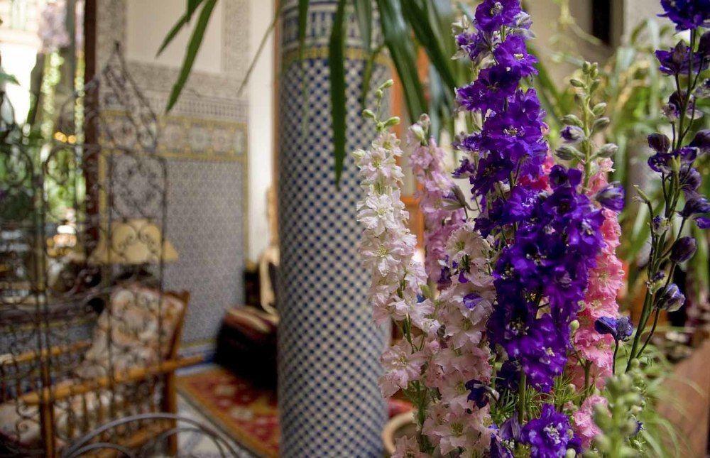 Riad Al Bartal Fez